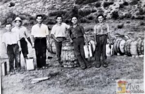 Bascuñana de San Pedro. Los resineros. Año 1955