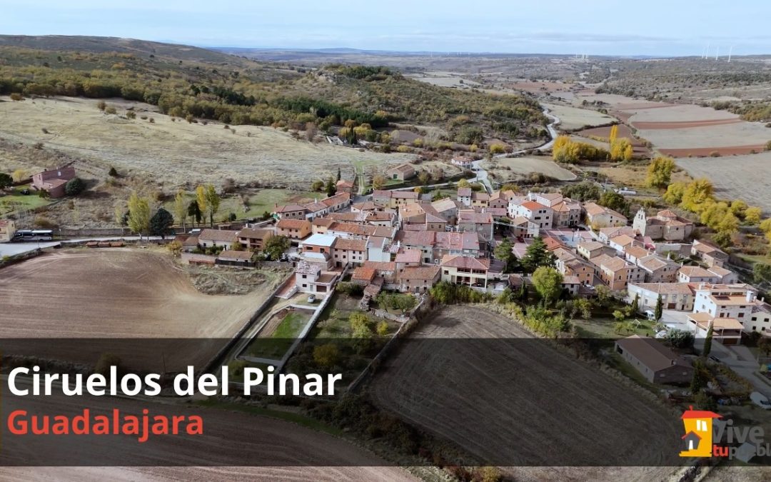 Ciruelos del Pinar