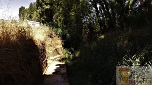 Mota de Altarejos. Fuente. (2)