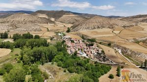 Valdeprado. Soria. Castilla y León. Vista aérea.