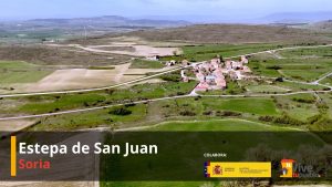 Vista aérea de la Estepa de San Juan en Soria con paisajes verdes