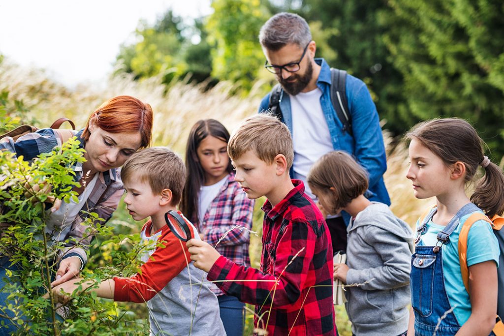 Educación medioambiental en colegios en zonas rurales