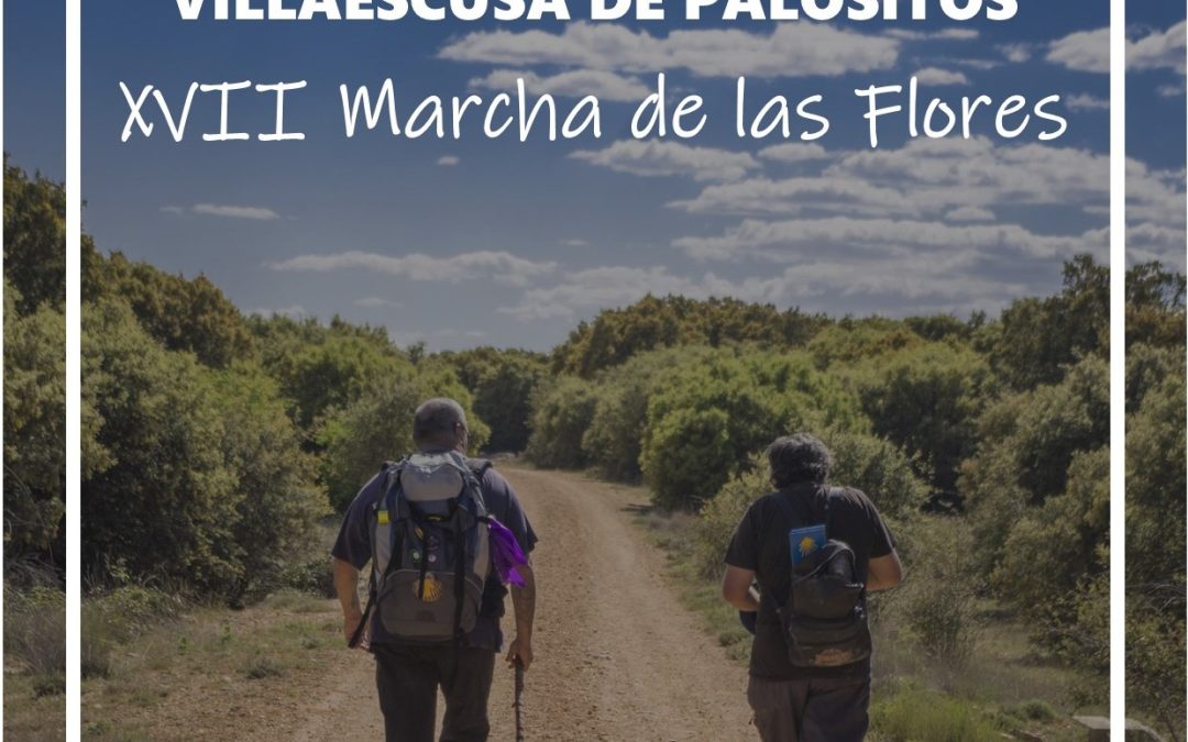 Sábado 25 de mayo. Marcha anual a Villaescusa de Palositos 2024